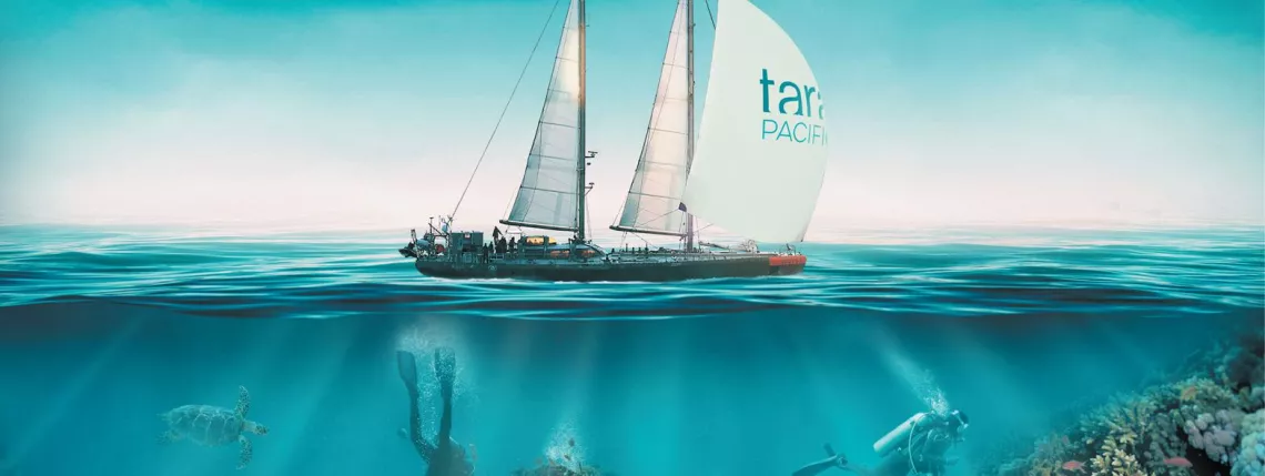 ©La niak/ Fondation Tara expeditions TARA EXPEDITIONS