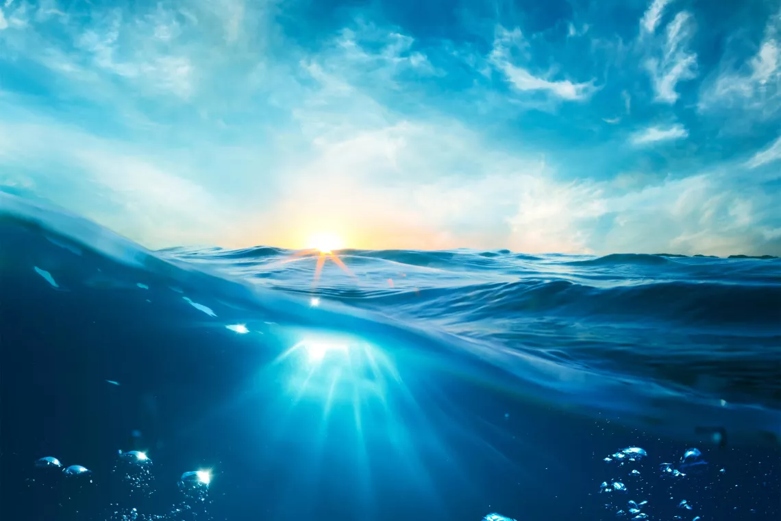 ©shutterstock OCEAN illustration