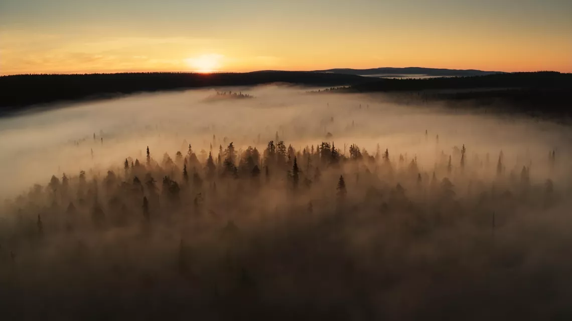 © BBC UNE PLANÈTE, DEUX MONDES SAUVAGES
