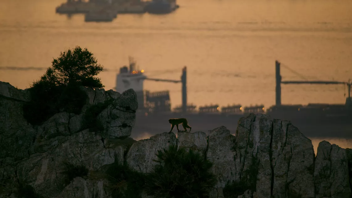 © BBC UNE PLANÈTE, DEUX MONDES SAUVAGES