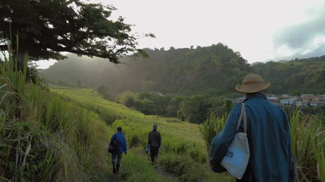 © Les Beaux Docs & 13 Prods Documentaire : Martinique, les yeux ouverts