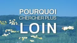 Pourquoi chercher plus loin ? 