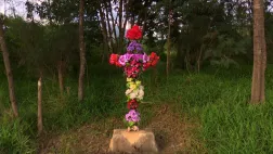 croix croix