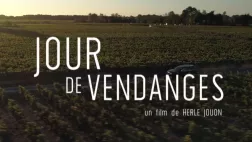 jour de vendanges jour de vendanges