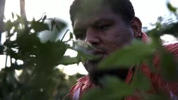 13 Production WALLIS ET FUTUNA, PETIT PAYS JE T'AIME BEAUCOUP