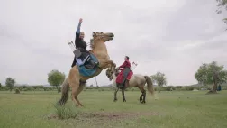 Amazones - Les femmes guerrières de l'Antiquité