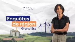 Enquêtes de région Grand Est présenté par Sylvie Malal Enquêtes de région Grand Est présenté par Sylvie Malal