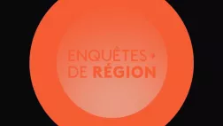 Enquêtes de région