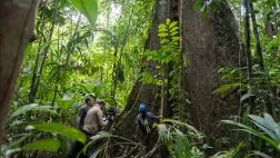 Le monde secret des forêts