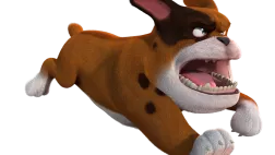 Padgachis