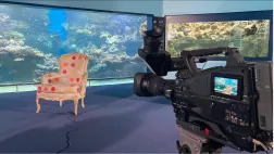 fauteuil plein cadre aquarium