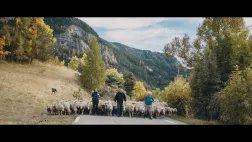 Revoir l'automne