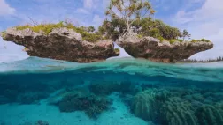 l'île des pins le dernier sanctuaire