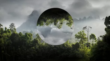 ENVIRONNEMENT 