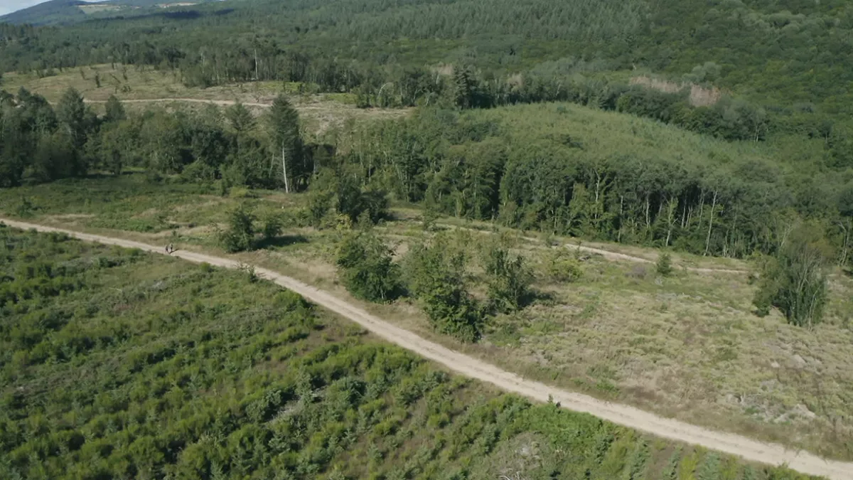 Morvan, pour quelques douglas de plus Morvan, pour quelques douglas de plus