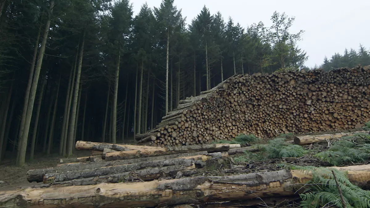 Morvan, pour quelques douglas de plus Morvan, pour quelques douglas de plus